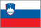 SLO national flag