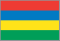 MRI national flag