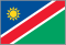 NAM national flag