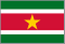 SUR national flag