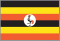 UGA national flag